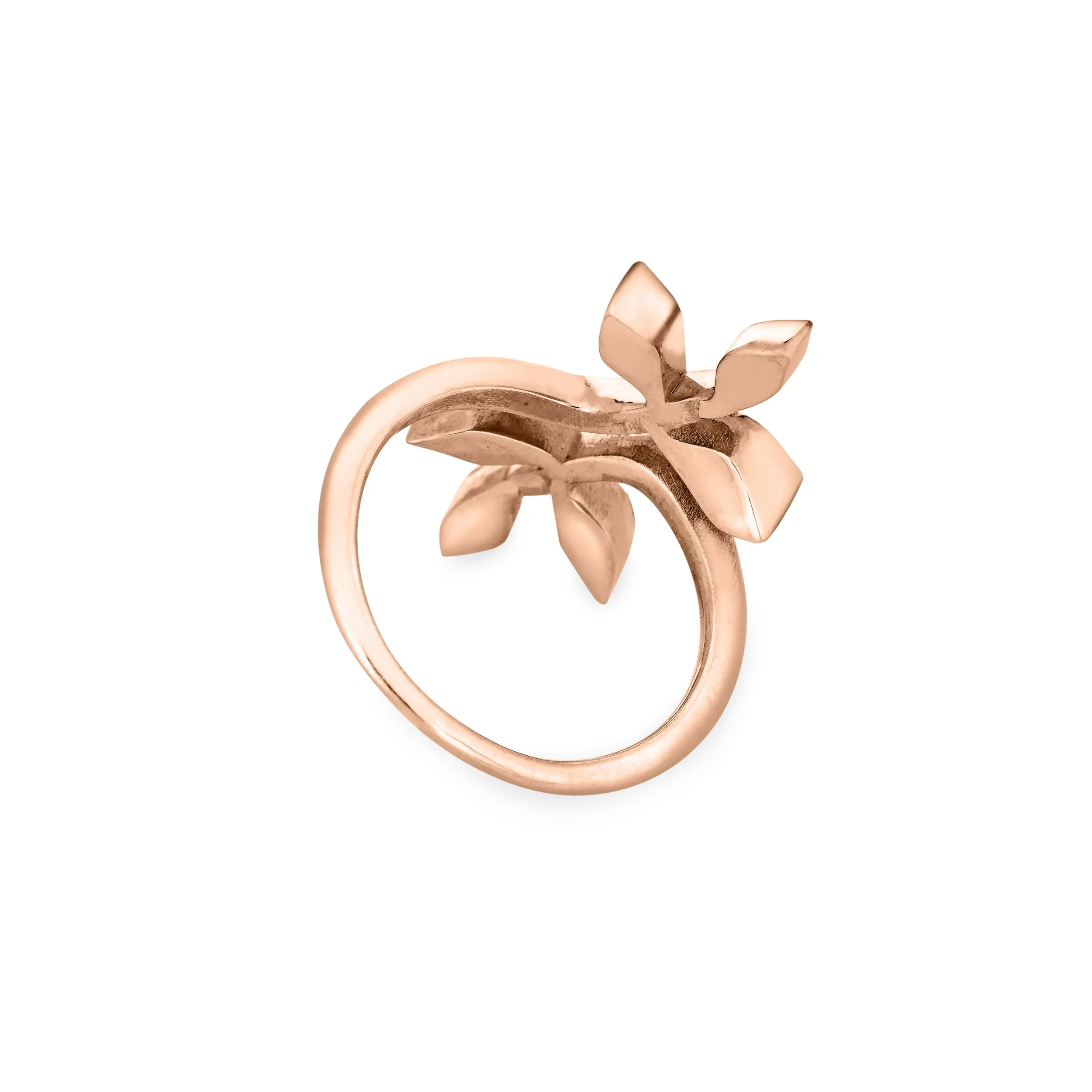 Olive Branch Cremation Ring in 14K Rose Gold