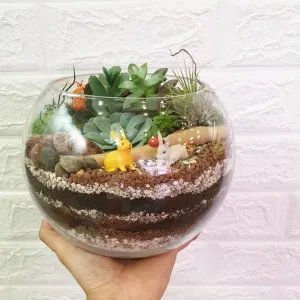 Open Spherical Terrarium