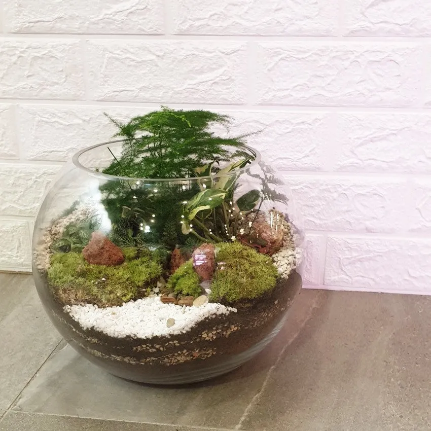 Open Spherical Terrarium