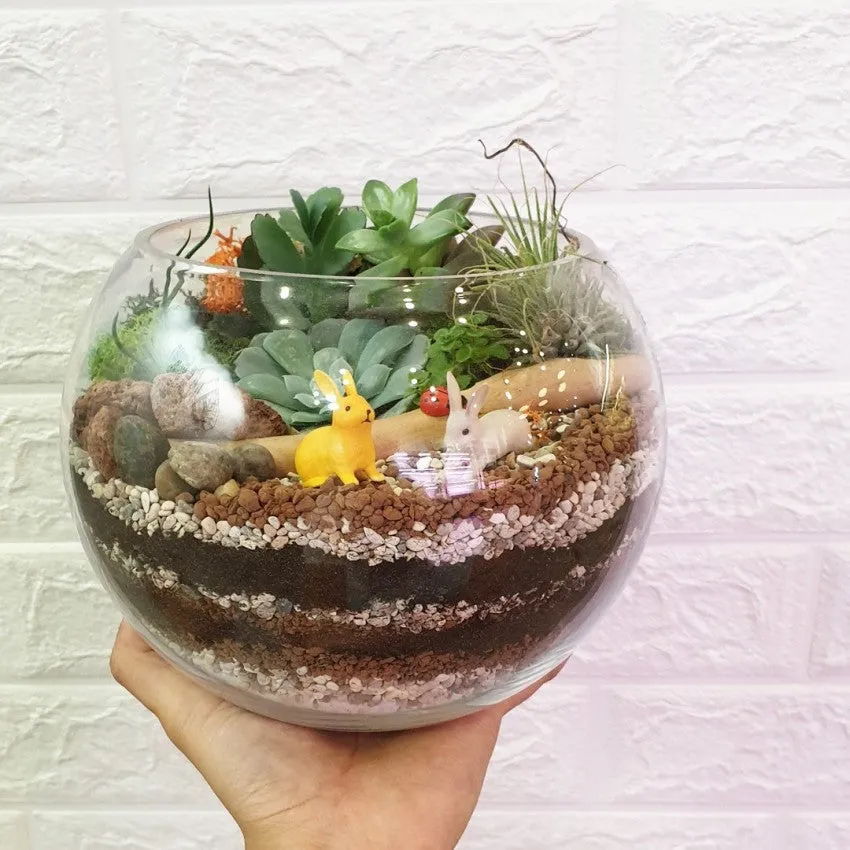 Open Spherical Terrarium