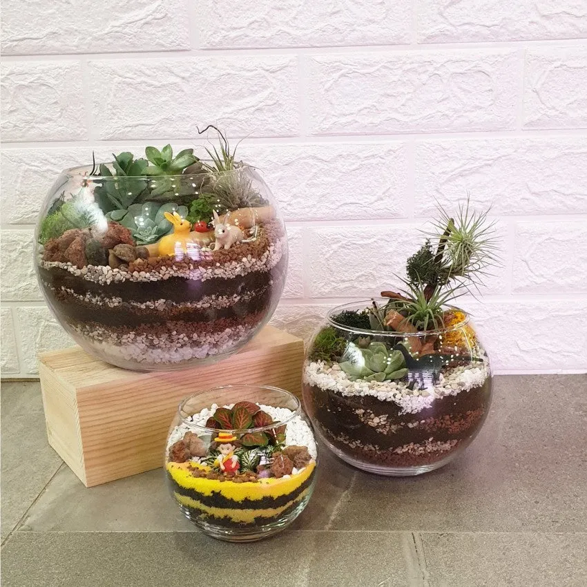 Open Spherical Terrarium