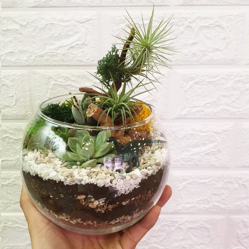 Open Spherical Terrarium