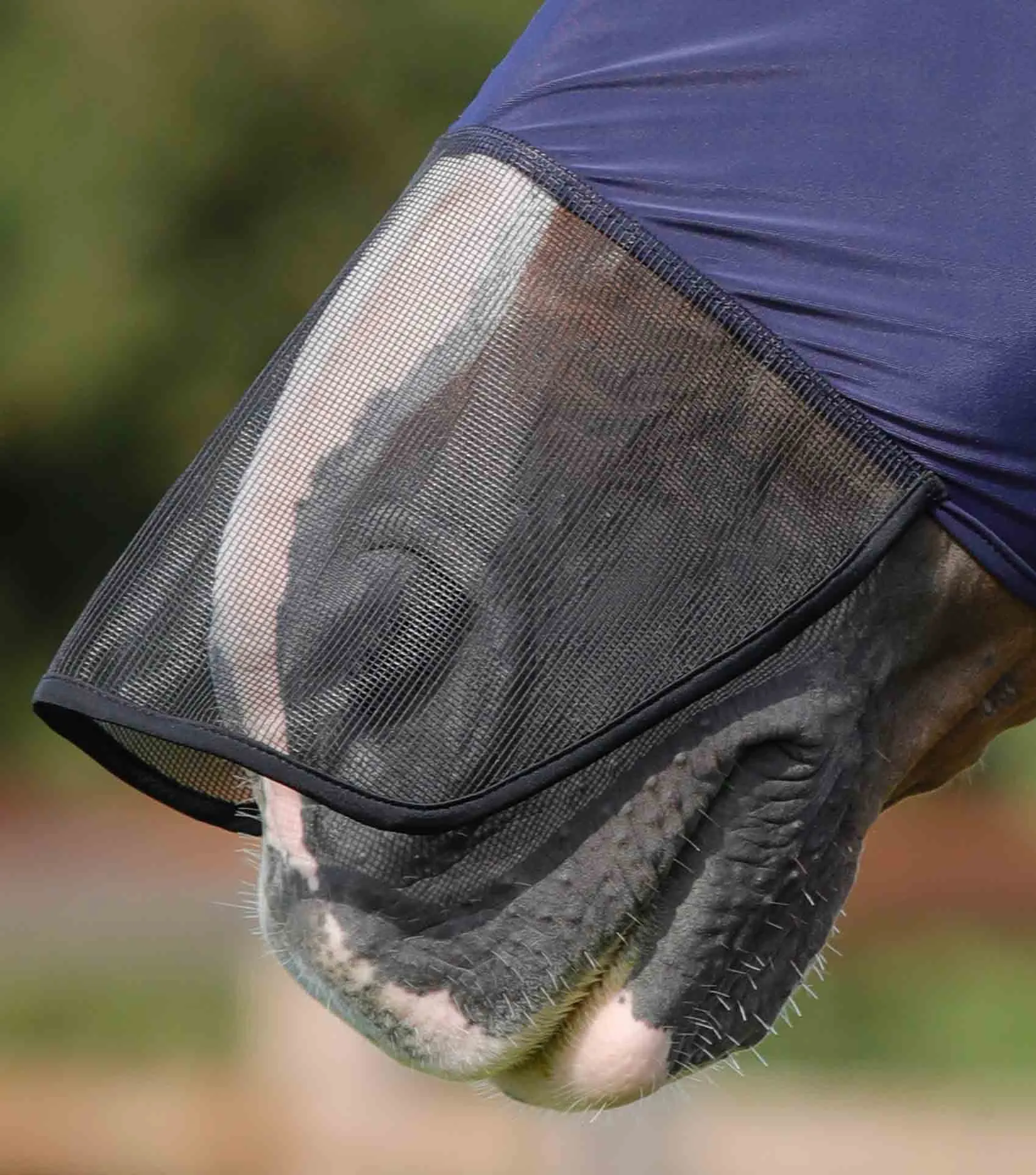 PEI Comfort Tech Lycra Full Cover Fly Mask