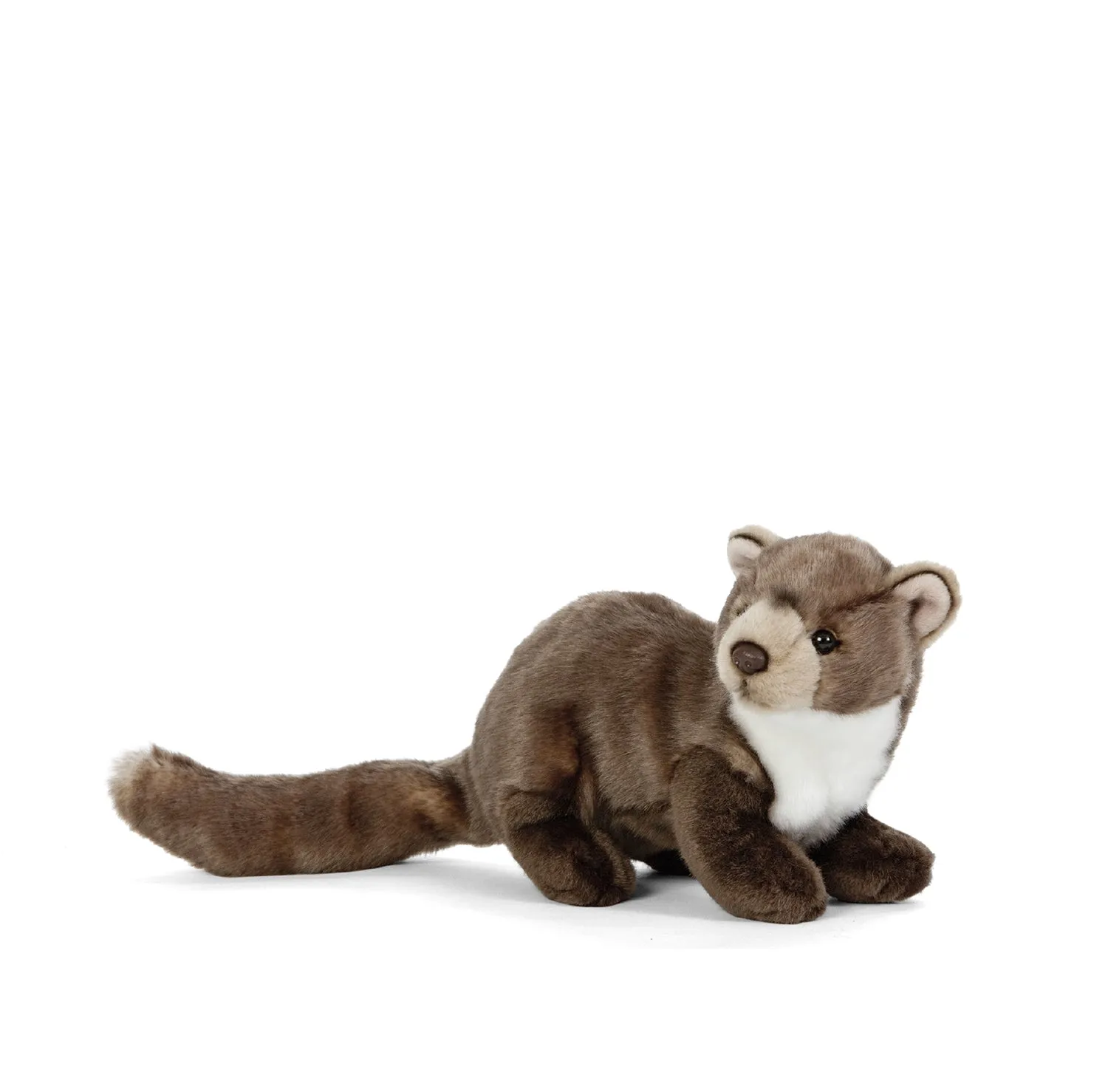 Pine Marten