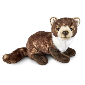 Pine Marten