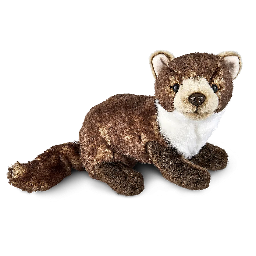 Pine Marten