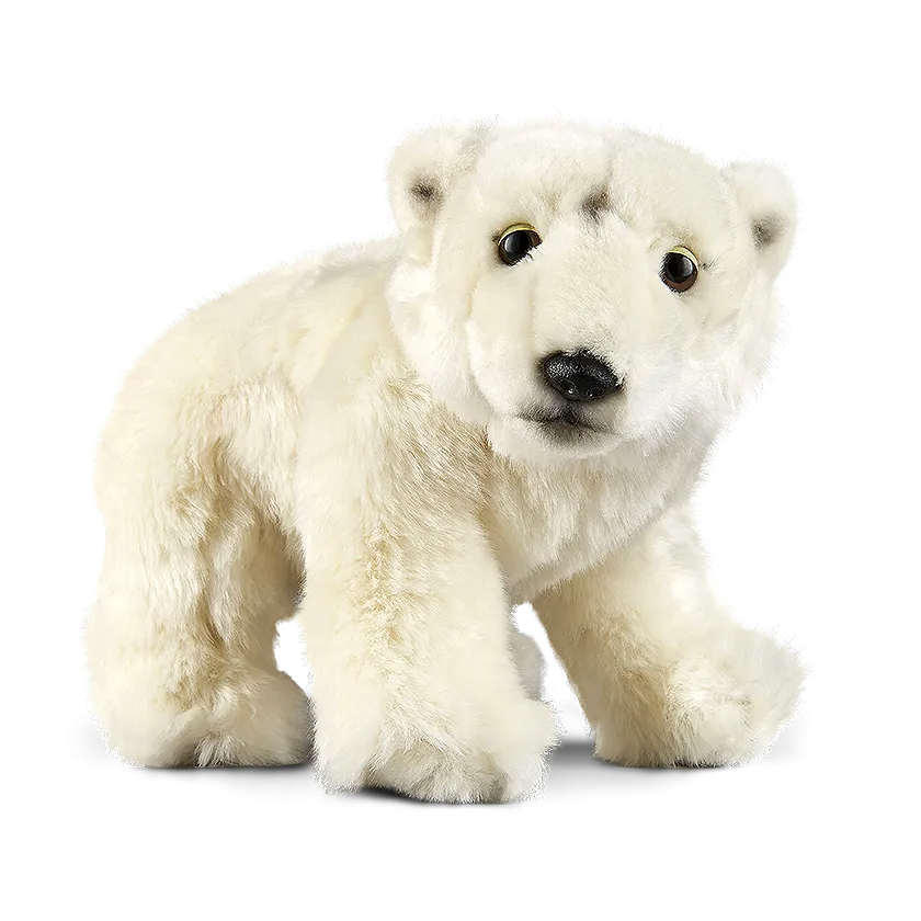 Polar Bear