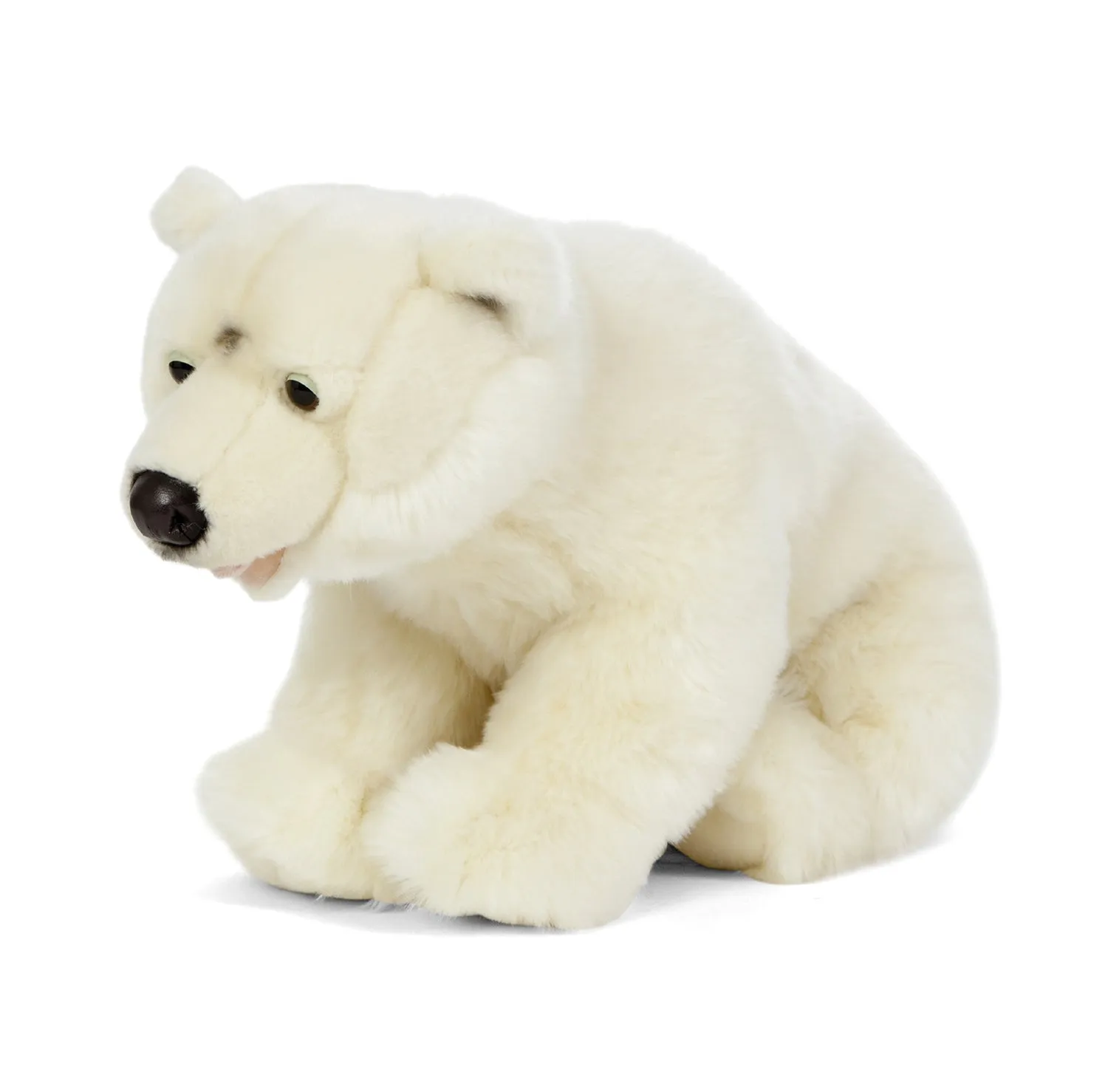 Polar Bear