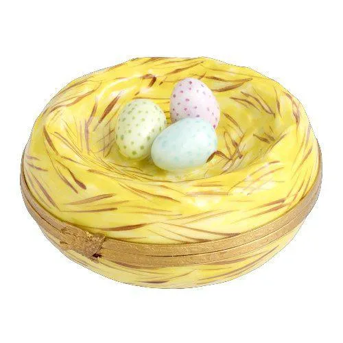Robin Bird Nest