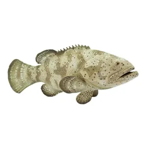 Safari Ltd. Goliath Grouper Toy