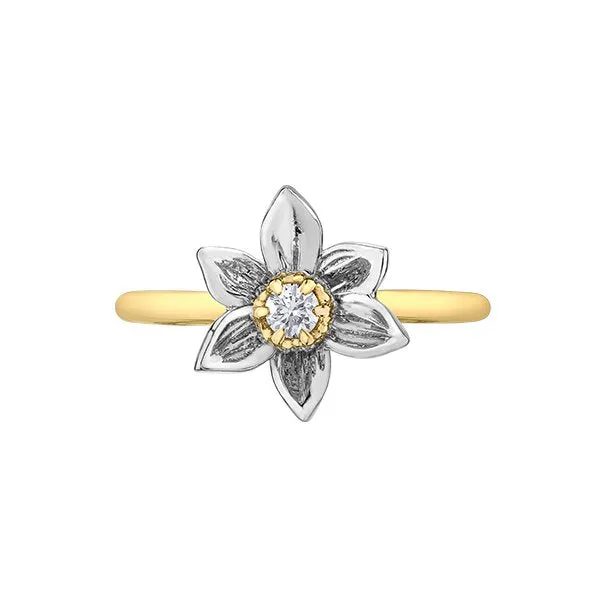 Shelly Purdy 14K Yellow and White Gold Manitoba Crocus (0.10ct) Canadian Maple Leaf Diamond Ring