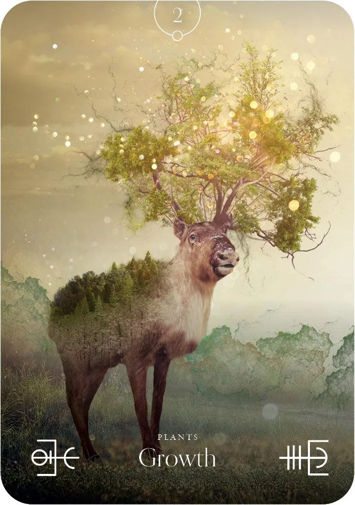 The Elemental Oracle