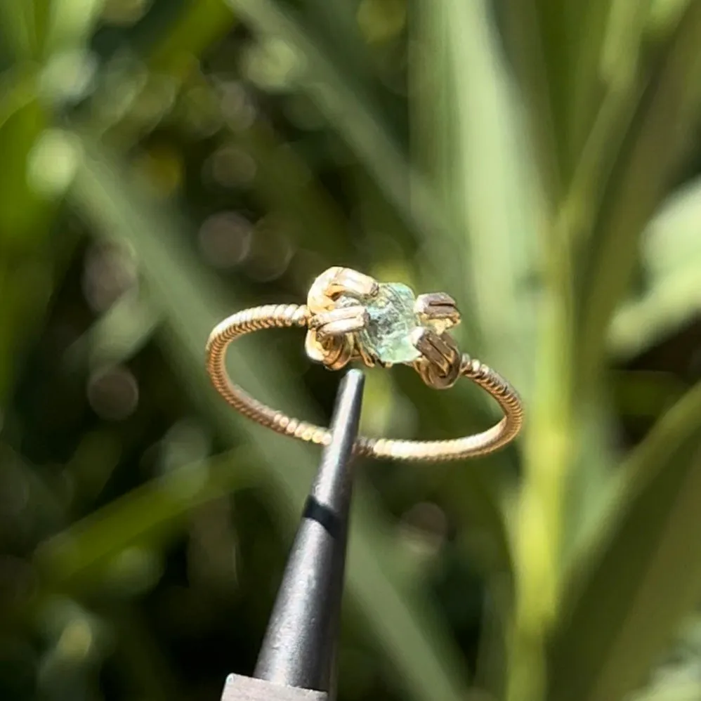 The Eternal Medusa Ring 𓆙