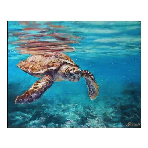 Turtle