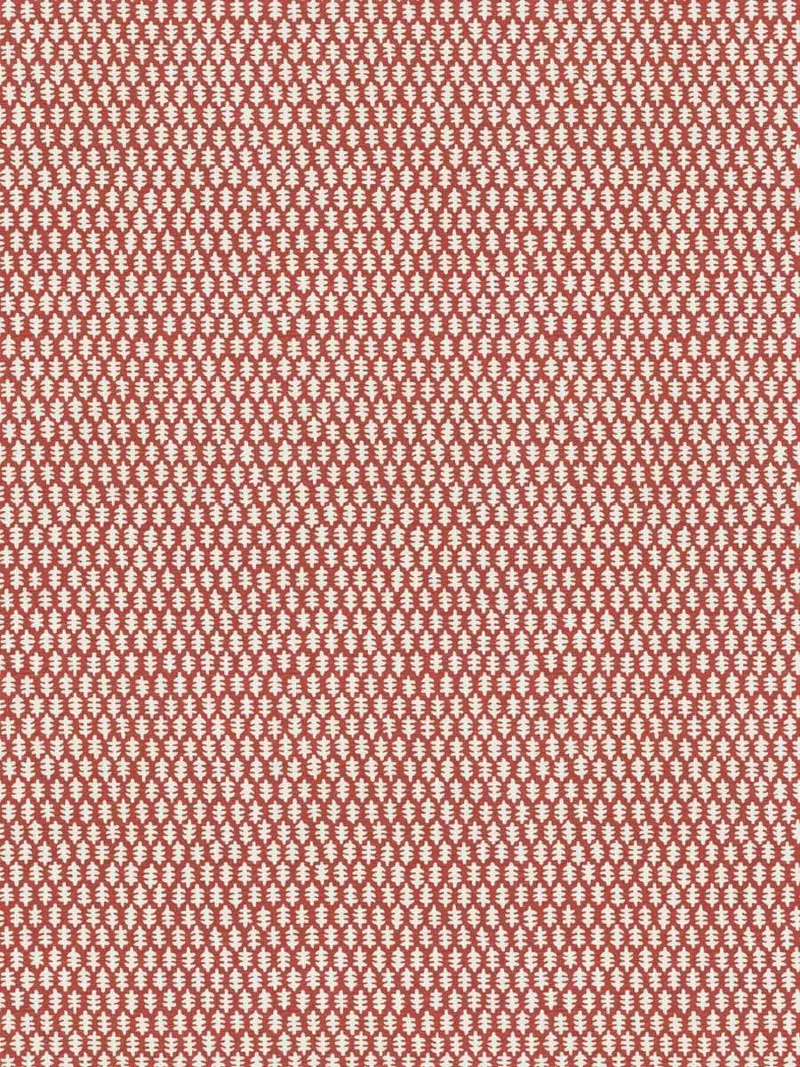 Vivi - Ribbon