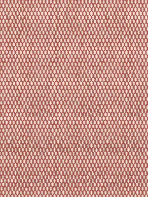 Vivi - Ribbon
