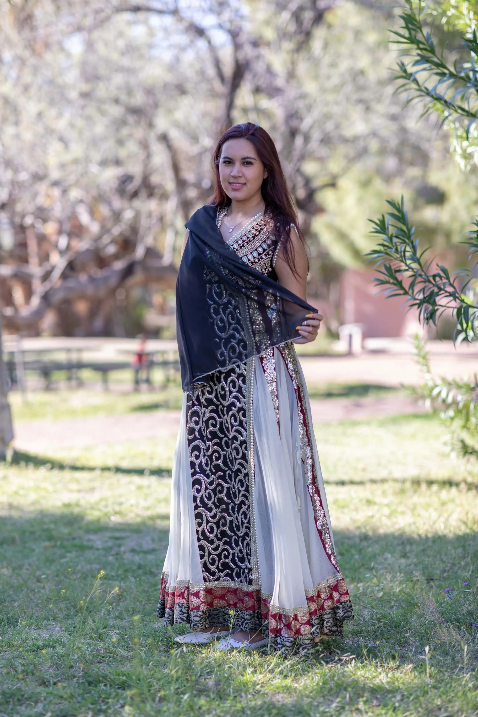 White & Black Chiffon Embroidered Dress-Gown